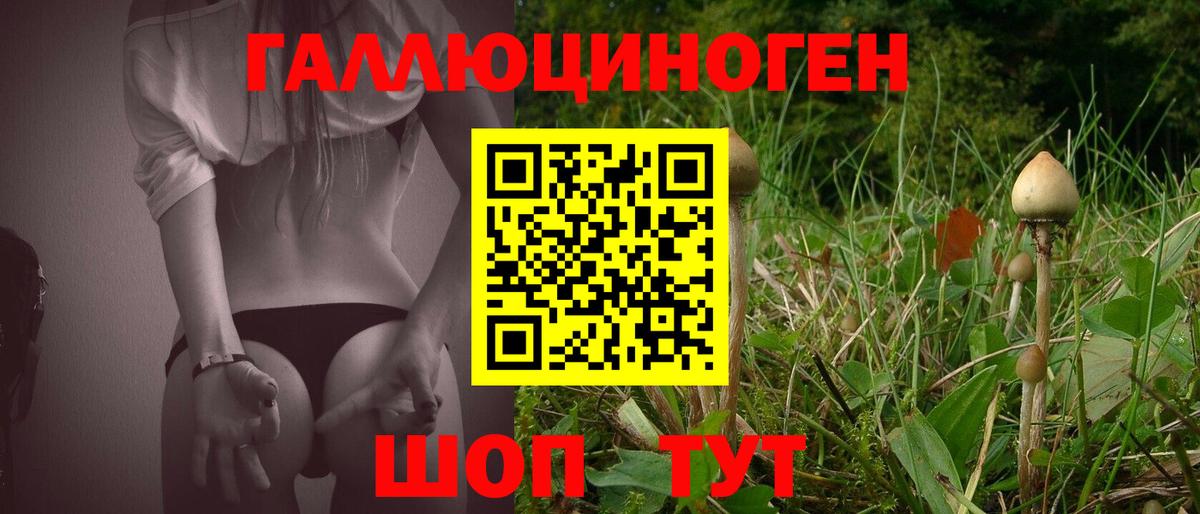 Псилоцибиновые грибы Psilocybine cubensis  купить наркотики сайты  Зима  Вход с VPN 