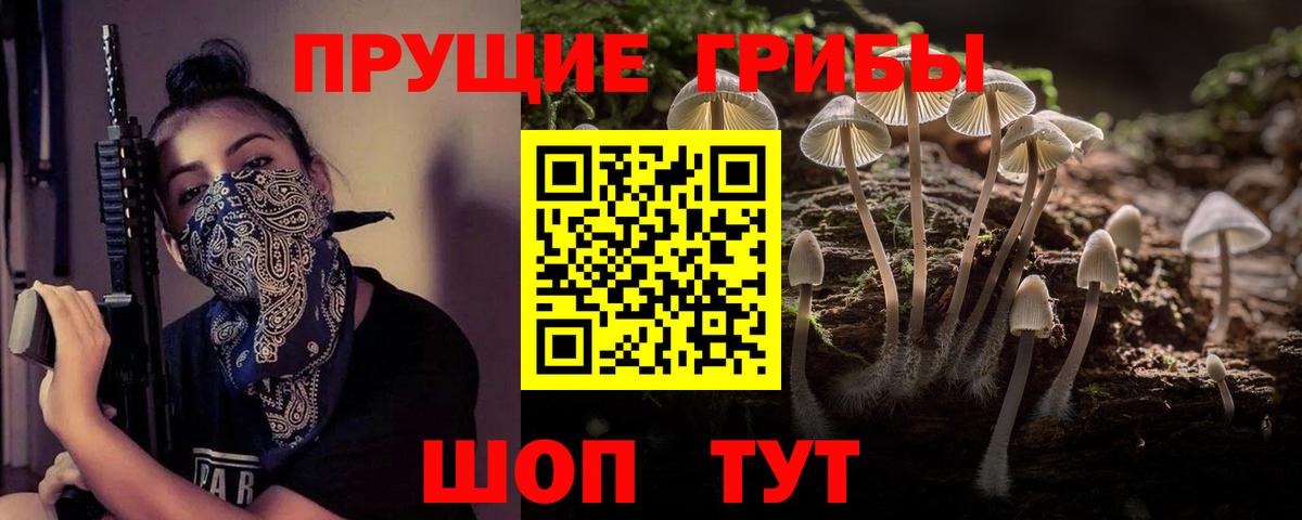 Галлюциногенные грибы мухоморы Зима